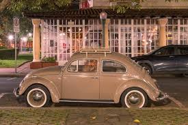 Image result for Medium Brown 1950 Beetle