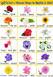 Flowers and names in hindi. Top 50á… Flowers Name In Hindi English Phoolon Ke Naam