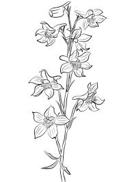 Pin By Aimee Smith Latimer On Wood Ideas In 2020 Birth Flower Tattoos Larkspur Tattoo Flower Wrist Tattoos