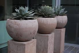 Tuscany Terracotta Terracotta D Arte Succulents Succulent Landscape Design Agave Plant