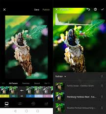 Selanjutnya tunggu proses unduh file sampai selesai. Cara Membuat Typogram Dan Microblog Untuk Instagram Dengan Phonto Dailysocial