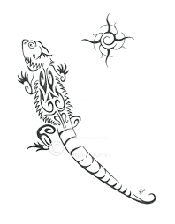 The term beard refers to the. Images Of Cartoon Easy Bearded Dragon Drawing