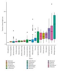 Image result for Lepidotrichilia volkensii