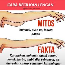 20 senaman popular kecilkan punggung dan peha. Coach Hardiana Macam Mana Nak Kecikkan Lengan Nak Kecikkan Bahagian Lengan Ke Peha Ke Perut Ke Pipi Ke Jawapan Nha Ialah Diet Yang Seimbang Kurang Garam Rendah Lemak Cukup Rehat