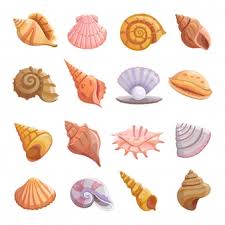 Welcome to the official facebook page of shell. Free Sea Shell Vectors 4 000 Images In Ai Eps Format