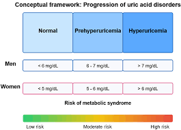 Image result for Hyperuricemia