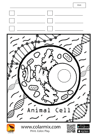 Keep a cat and pumpkin company on a magical night. Quiver 3d Coloring Pages