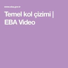 Temel Kol Cizimi Eba Video 2020 Videolar Koltuklar