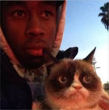 Tyler the creator compilation 2017 tyler the creator funny interview moments. Grumpy Cat And Tyler The Creator Meme Guy