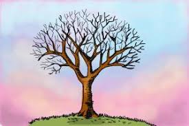 The branches which are drawn closer to the main tree trunk are thicker since they are older and have to support the mass of smaller branches and if you are looking for a simple method of drawing a basic tree the following process will help. How To Draw A Tree Without Leaves Drawingnow