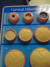 Your Cervix Is How Huge? | New Baby Products, Postpartum Care Kit, Diet  While Pregnant