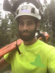 Native Roots Tree Service give us a call for any storm damage 774-775-2969