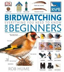 Pin On Birding In Belize