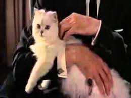 Check out inspiring examples of blofeld artwork on deviantart, and get inspired by our community of talented artists. From Russia With Love 1963 Spectre Briefing Youtube
