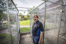 Hokken, stallen en kooitjes moeten daarop worden aangepast. 35cage7qwuhqum