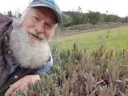 Team — Integrated Design