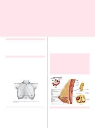 APG S14P1 - CANCER DE MAMA - Ginecologia