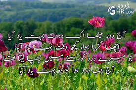 Others assert that they have best friends for different aspects of their personalities. Best Friendship Poetry In Urdu Dosti Poetry In Urdu