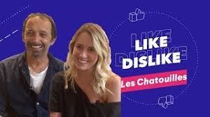 Grâce à ses séances chez le psy, elle va se remémorer sa jeunesse chaotique, dramatique, cocasse. Andrea Bescond Eric Metayer Like Dislike Avec Gringe Les Chatouilles Du Krump Lorient Youtube