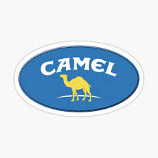 Professional camel racing, like horse racing. Camel Cigarettes Stickers Redbubble