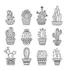 The most common black white cactus material is cotton. Cactus Black And White Vector Images Over 3 300