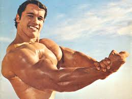 Juli 1947 in thal bei graz geboren. Pumping Iron Die Arnold Schwarzenegger Story Das Golden Age Des Bodybuildings Der Film Fitness Magazin Workout De