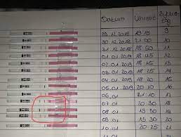 Wenn das östrogen ein plateau erreicht, wird lh ausgeschüttet und steigt ebenfalls an. Ovulationstest Wann Der Eisprung Schwanger Babywunsch Ovulationstests