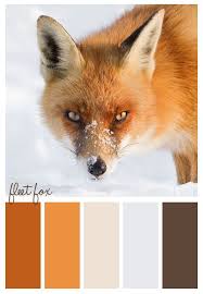 Gold On The Ceiling Red Fox Fox Fleet Foxes