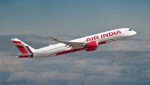 Air India flight Pakistan : एअर इंडियाचे विमान काही काळासाठी पाकिस्तानच्या हवाई  हद्दीत घुसले, चौकशी सुरू