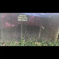 Perhilitan negeri sembilan sedang menyiasat dakwaan itu yang tular di media sosial semalam, namun belum ada pengesahan. Zoologimy