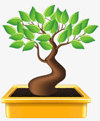 Learn more about our clip art. Bonsai Tree Silhouette At Getdrawings Bonsai Emoji Png Image Transparent Png Free Download On Seekpng