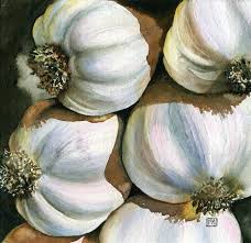 Garlic 195 Sold 7 X 7 By Fran Mcgarry Fruit Painting Watercolor Fruit Watercolor Food