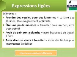 Sens Propre Et Sens Figure Avec Images Orthographe Grammaire Orthographe Francais Poule Mouillee