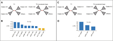 Image result for Ardisiandra wettsteinii