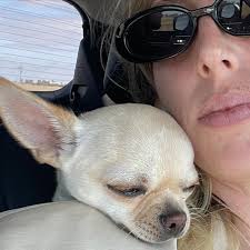 Omw to the big smoke with baby bongo 💨🏙️