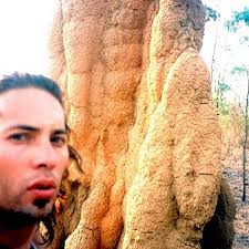 cameron goold (@camerongoold2)