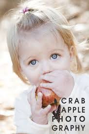 THANK YOU 2011! Contest + Fun Gifts! · Crabapple Photography