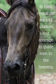 Good Quote And The Horse Looks Like Denny From The Man From Snowy River Horseback Riding Quotes Horses Horse Quotes
