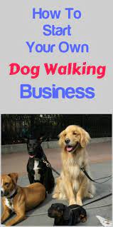 Start Your Own Dog Walking Business Dog Walking Business Dog Business Dog Walking
