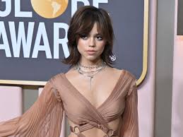 Mercredi» cartonne sur Netflix : qui est Jenna Ortega, la révélation de la  série ? - Le Parisien