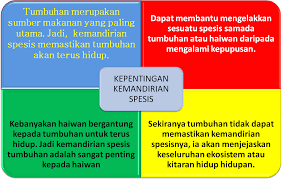 Tumbuhan membekalkan oksigen untuk keperluan asas bagi haiwan dan manusia. Kepentingan Tumbuhan Kepada Manusia Dan Haiwan Kalau Sempat Sumbang Tulisannya Ya