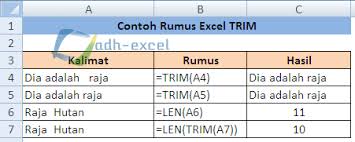 Trik ini digunakan untuk mencari kata dalam satu kalimat yang ada pada sebuah cell ms. Rumus Trim Excel Menggunakan Rumus Trim Untuk Menghilangkan Kelebihan Spasi Dalam Excel Adhe Pradiptha