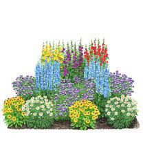 Viele gärtner empfehlen ansonsten generell die schnittblumen nur morgens abzuschneiden und für viele garten blumen ist das auch genau der richtige zeitpunkt. Prachtvolle Pflanzen Online Bestellen Dehner