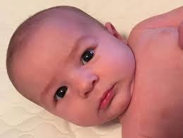 Sterling Shaffer Green