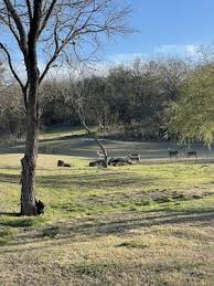 Nadgt exclusive @ boyce baumgardner memorial disc golf course @ swope park: Olympia Hills Golf Event Center 12900 Mt Olympus Universal City Tx Golf Courses Public Or Private Mapquest