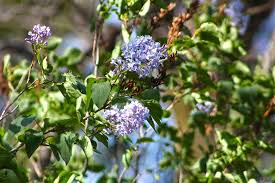 Maybe you would like to learn more about one of these? 7 Things You Ll See In Missoula In The Spring Destination Missoula