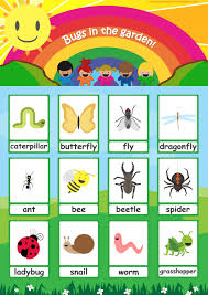 Check spelling or type a new query. Bugs Flashcards Simple Colorful Insect Flashcards For Your Classroom