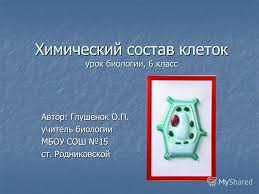 гдз по английскому 4 класс сборник упражнений быкова поспелова Vseobshaya Istoriya Noskov 8 Klass Otvety Na Voprosy