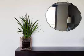 Glass brings all three 'gods amongst us' men together and proceeds to do almost nothing with them, other than allow them to mansplain their brilliance at each. Monsey Glass Home Facebook