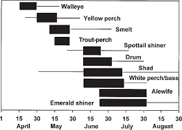 Peak Abundance Of Fish Larvae Bars In Ichthyoplankton Net